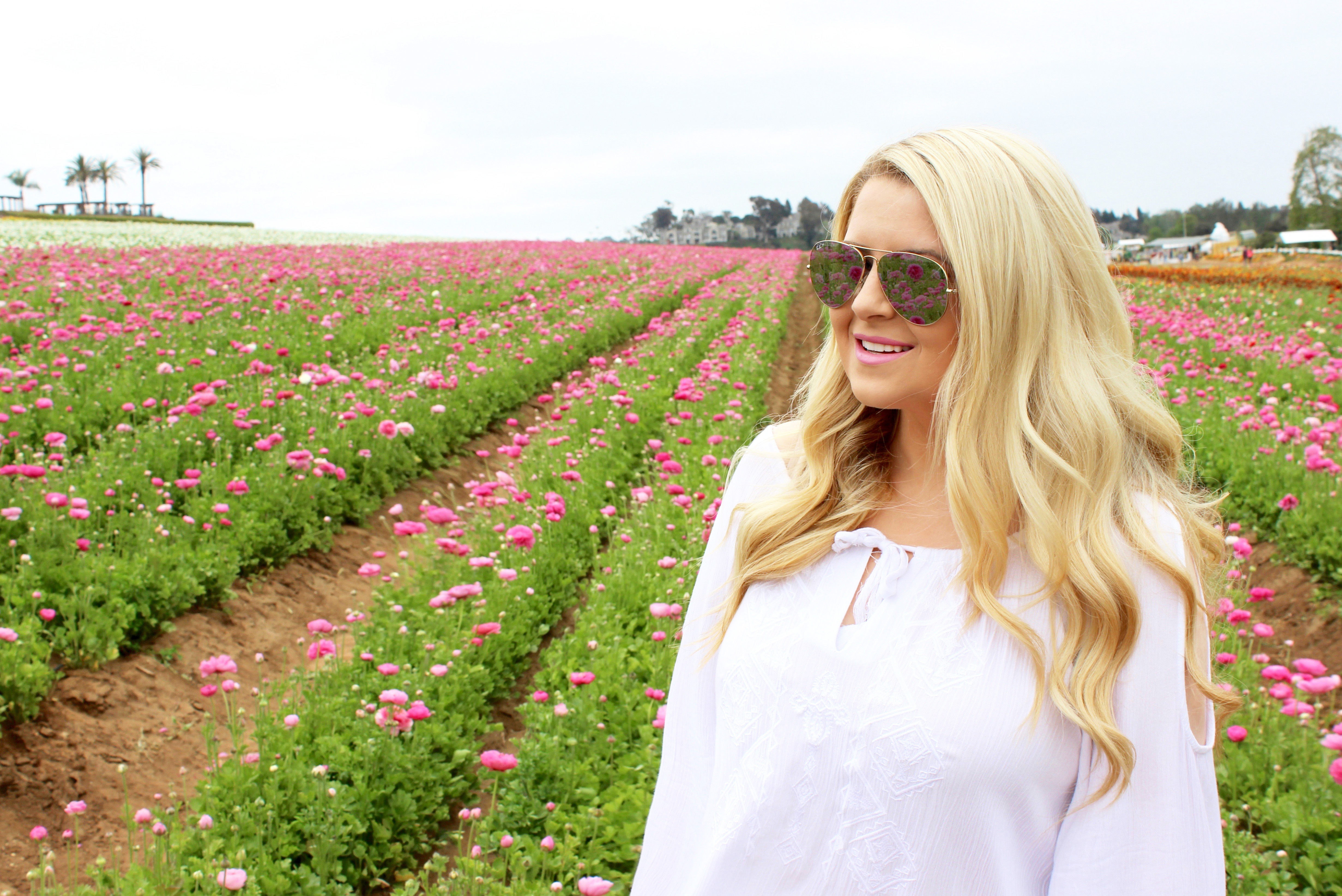 The Flower Fields  |  Carlsbad, CA